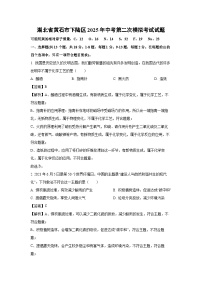湖北省黄石市下陆区2025年中考第二次模拟考试化学试题（解析版）