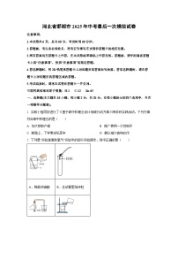 河北省邯郸市2025年中考最后一次模拟化学试卷（学生版）