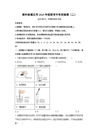 贵州省遵义市2025年校联考中考压轴卷（二）化学试卷（学生版）