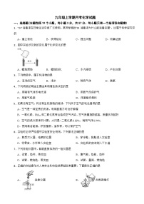 四川省成都市2025年九年级上学期月考化学试题附答案