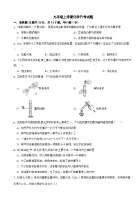 山东省青岛市2025年九年级上学期化学月考试题附答案