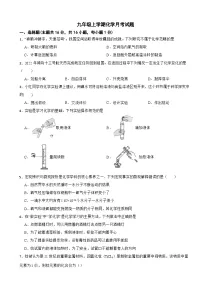 山东省青岛市2025年九年级上学期化学月考试题附答案