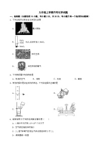 山东省潍坊市2025年九年级上学期月考化学试题附答案