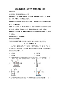 湖北省武汉市2025年中考模拟（四）化学试卷（学生版）