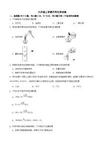 甘肃省张掖市甘州区2025年九年级上学期月考化学试卷附答案
