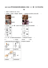 2025-2026学年吉林省松原市前郭县九年级(上)第一次月考化学试卷-自定义类型