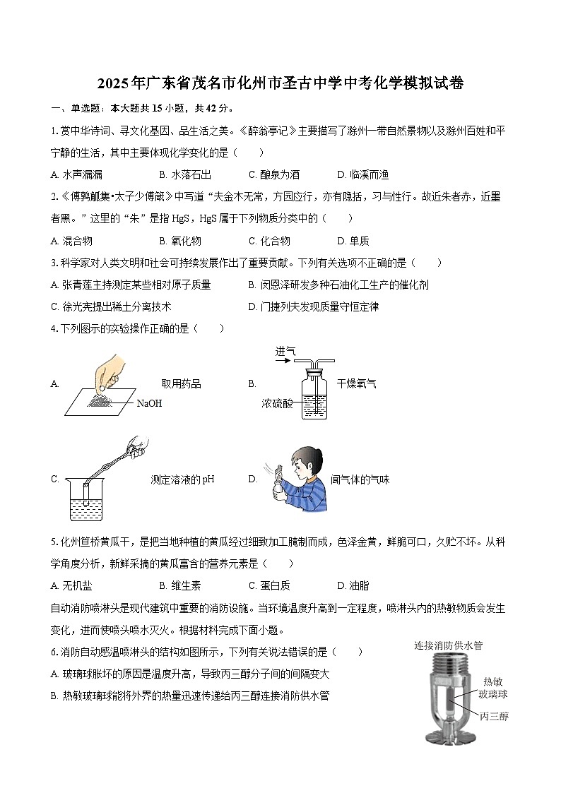 2025年广东省茂名市化州市圣古中学中考化学模拟试卷-自定义类型第1页