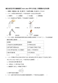 湖北省武汉市东湖高新区2023-2024学年九年级上学期期末化学试卷