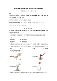 山东省青岛市崂山区2025年中考一模化学试卷（学生版）
