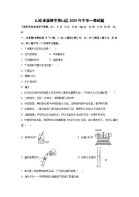 山东省淄博市博山区2025年中考一模化学试卷（学生版）