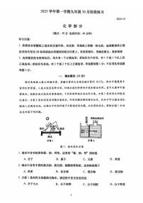 上海市普陀区2025-2026学年九年级上学期10月月考化学试卷