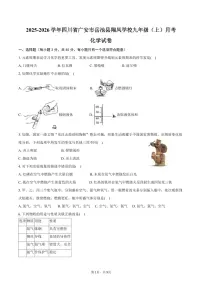 2025-2026学年四川省广安市岳池县翔凤学校九年级（上）月考化学试卷（含答案）