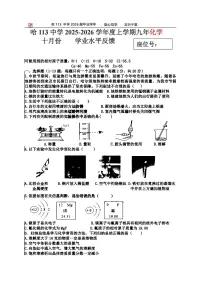 2025年哈尔滨市113中学九年级上学期10月月考化学试题及答案