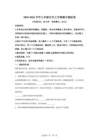 九年级化学上册期中模拟试题（上海专用 新教材沪科版五四学制）含答案