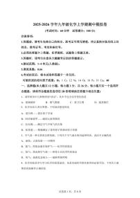 九年级化学上册期中模拟试题（长沙专用 新教材人教版）含答案