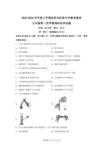 辽宁省沈阳市虹桥中学教育集团2025~2026学年九年级上册（10月）月考化学试题（含答案）