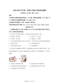 山东省青岛市2025~2026学年九年级上册（9月）月考化学试题（含答案）