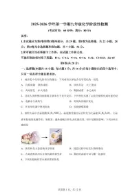 山东省青岛市2025~2026学年九年级上册（9月）月考化学试题（含答案）