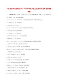 广东省深圳市龙岗区2024_2025学年九年级（上）10月月考化学试卷 [附答案]
