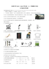2025年哈尔滨市松雷中学九年级上学期期中化学试题及答案
