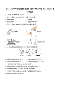2025-2026学年湖北省武汉市黄陂区部分学校九年级（上）月考化学试卷（10月份）（含答案）