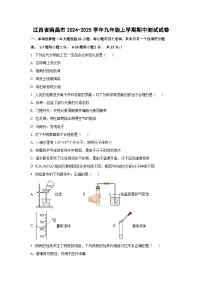 江西省南昌市2024-2025学年九年级上学期期中测试化学试卷（学生版）