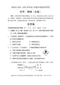 2024-2025学年深圳市初三中考适应性考试化学试卷含答案