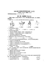 江苏省昆山市康桥中学2025-2026学年九年级上学期10月月考化学试卷