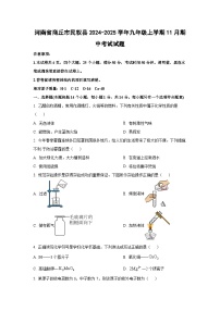 河南省商丘市民权县2024-2025学年九年级上学期11月期中考试化学试卷（学生版）