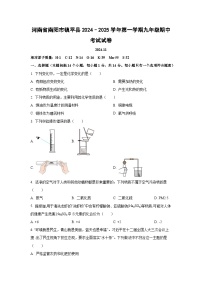 河南省南阳市镇平县2024–2025学年第一学期九年级期中考试化学试卷（学生版）