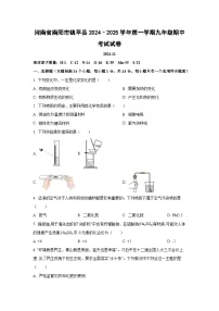 河南省南阳市镇平县2024–2025学年第一学期九年级期中考试化学试卷（学生版）