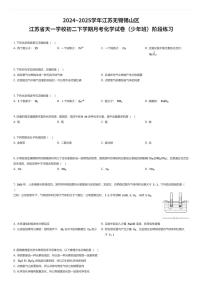 2024~2025学年江苏无锡锡山区江苏省天一学校初二下学期月考化学试卷(少年班)阶段练习(有答案解析)