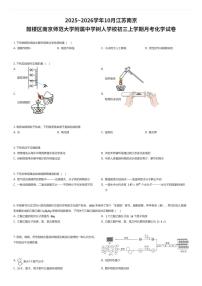 2025~2026学年10月江苏南京鼓楼区南京师范大学附属中学树人学校初三上学期月考化学试卷（有答案解析）
