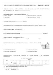 2025~2026学年10月上海闵行区上海市文来中学初三上学期月考化学试卷（有答案解析）