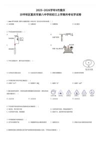 2025~2026学年9月重庆沙坪坝区重庆市第八中学校初三上学期月考化学试卷（有答案解析）