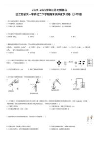 2024~2025学年江苏无锡锡山区江苏省天一学校初二下学期期末模拟化学试卷（少年班）（有答案解析）