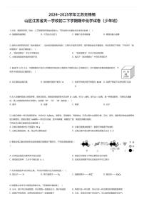 2024~2025学年江苏无锡锡山区江苏省天一学校初二下学期期中化学试卷（少年班）（有答案解析）