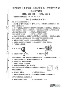 新疆哈密市第五中学2024-2025学年九年级上学期期中考试化学试卷