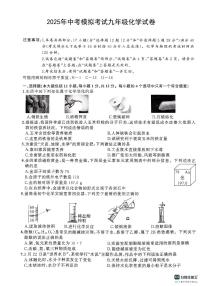 安徽省宿州市泗县联考2024-2025学年九年级下学期4月月考化学试题