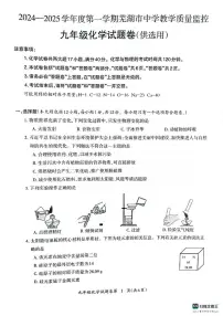 安徽省芜湖市2024-2025学年九年级上学期1月期末化学试卷（PDF版，含答案）