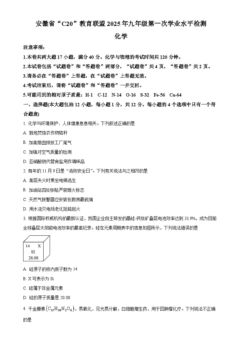 2025年安徽省C20教育联盟中考一模化学试题-A4第1页