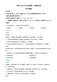 2022年安徽省宣城宁国市中考一模化学试题（解析版）-A4