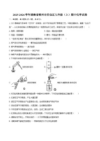 2025-2026学年湖南省郴州市苏仙区九年级（上）期中化学试卷-自定义类型