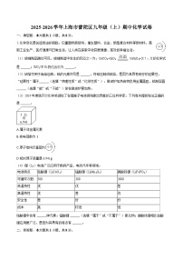 2025-2026学年上海市普陀区九年级（上）期中化学试卷-自定义类型