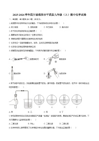 2025-2026学年四川省绵阳市平武县九年级(上)期中化学试卷-自定义类型