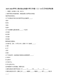 2025-2026学年上海市金山初级中学八年级（上）10月月考化学试卷（含答案）