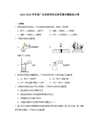 广东省深圳市宝安区2024-2025学年九年级上学期化学期末模拟练习卷含答案