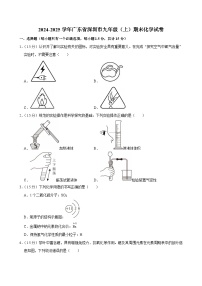 广东省深圳市2024-2025学年九年级上学期期末考试化学试卷 含答案