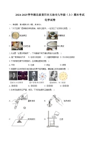 2024-2025学年湖北省黄石市大冶市九年级(上)期末化学试卷(含答案)