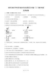 2025-2026学年四川省泸州市江阳区九年级(上)期中化学试卷(含答案)